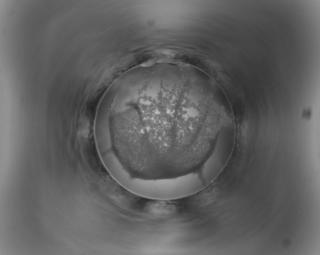 X0000113600331200910021747