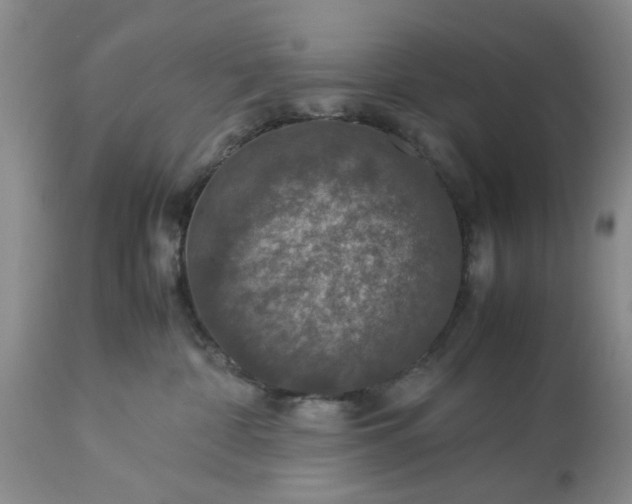 X0000113600332200910021747