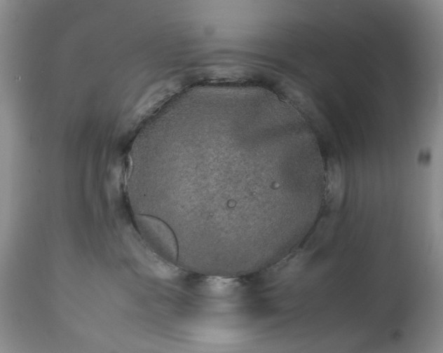 X0000113600333200910021747