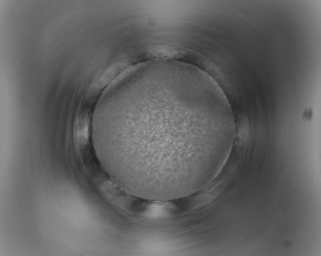 X0000113600334200910021747