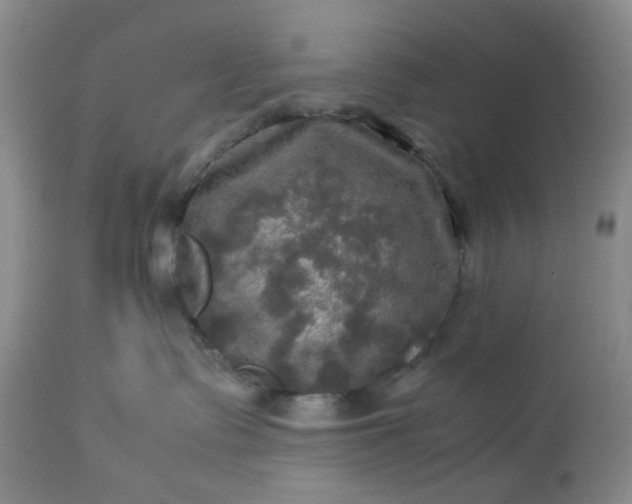 X0000113600335200910021746