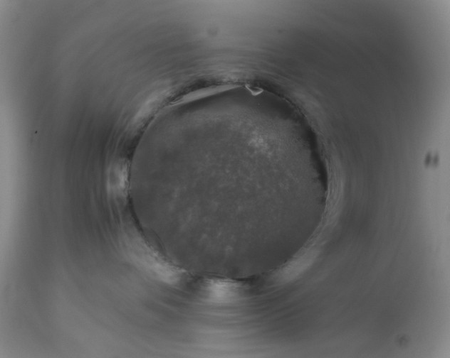 X0000113600336200910021746