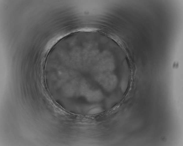 X0000113600337200910021746