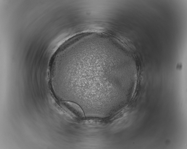 X0000113600338200910021746