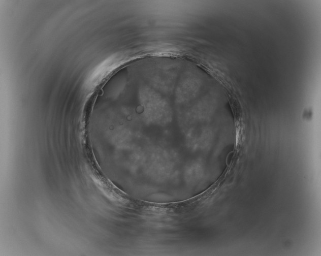 X0000113600339200910021746