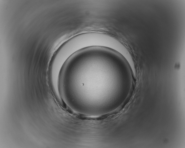 X0000113600340200910021746