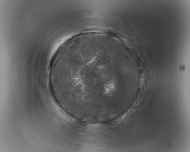 X0000113600342200910021746