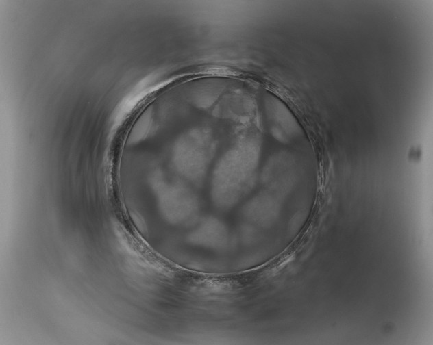 X0000113600343200910021746