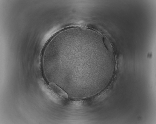 X0000113600344200910021746