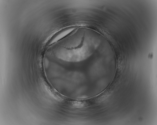 X0000113600347200910021746