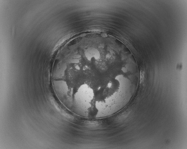 X0000113600349200910021746