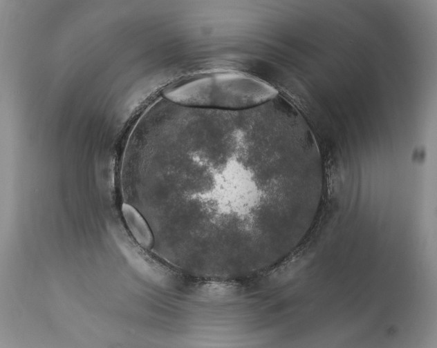 X0000113600350200910021746