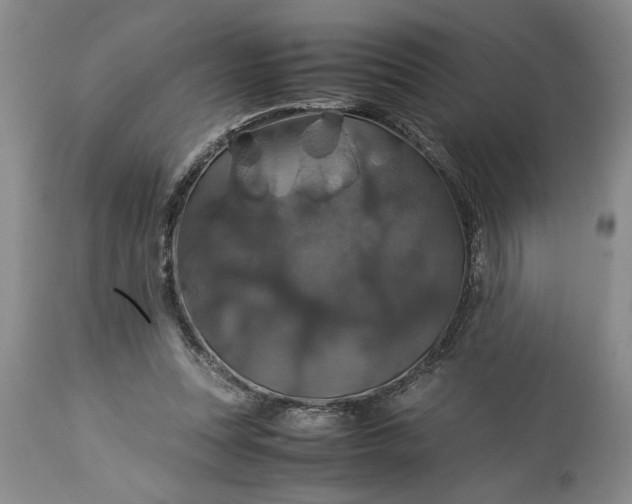 X0000113600351200910021746