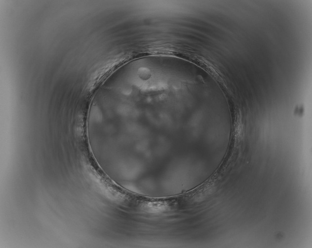 X0000113600353200910021746