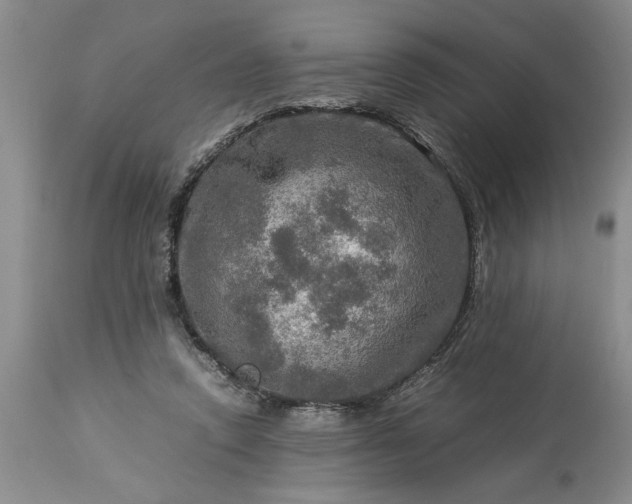 X0000113600354200910021746