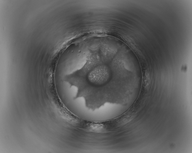 X0000113600355200910021746