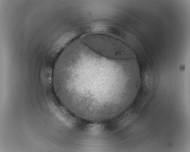 X0000113600356200910021746