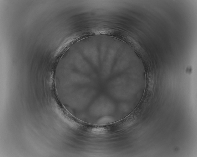 X0000113600357200910021746