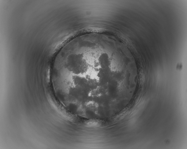 X0000113600358200910021746