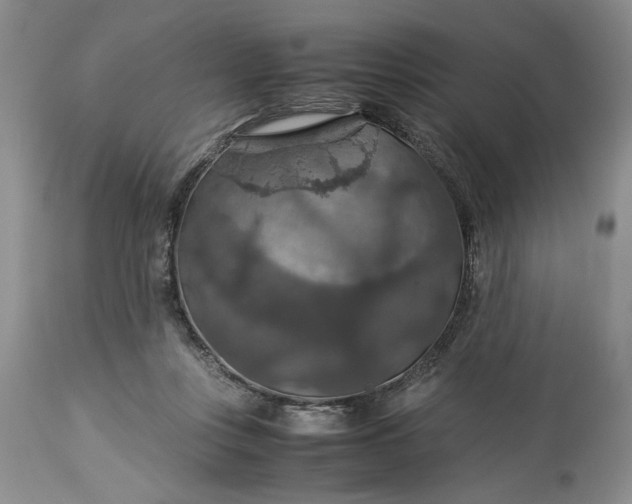 X0000113600359200910021746