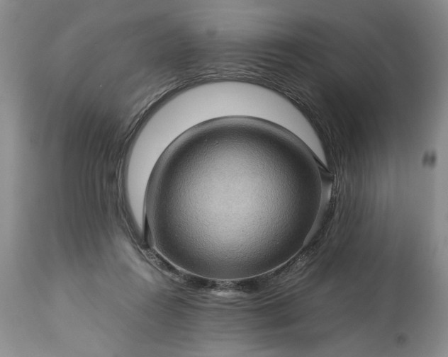 X0000113600360200910021746