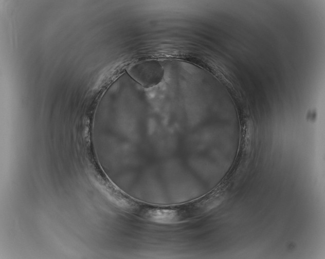 X0000113600361200910021746