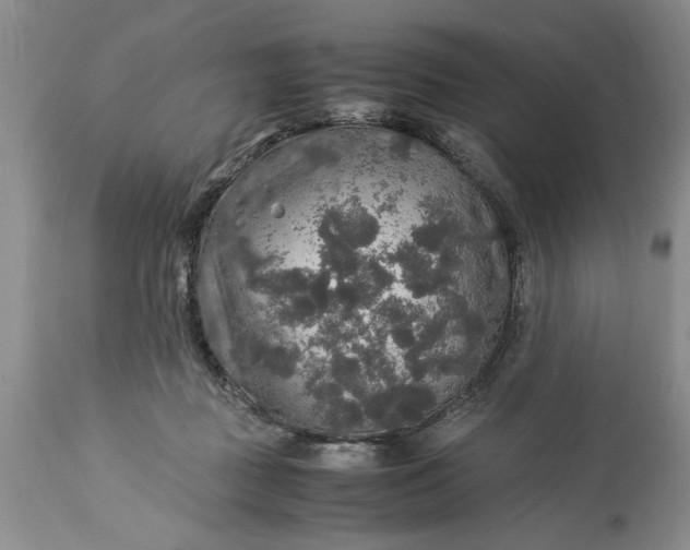 X0000113600363200910021746