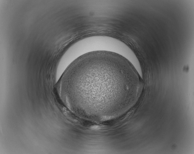 X0000113600364200910021746