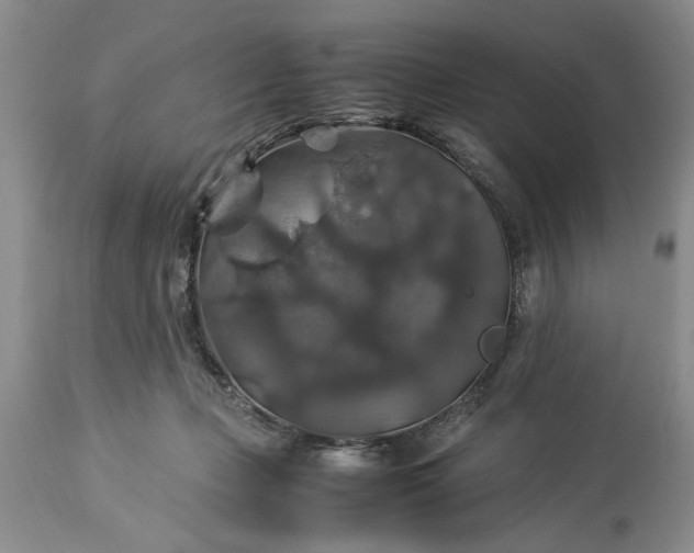 X0000113600365200910021746