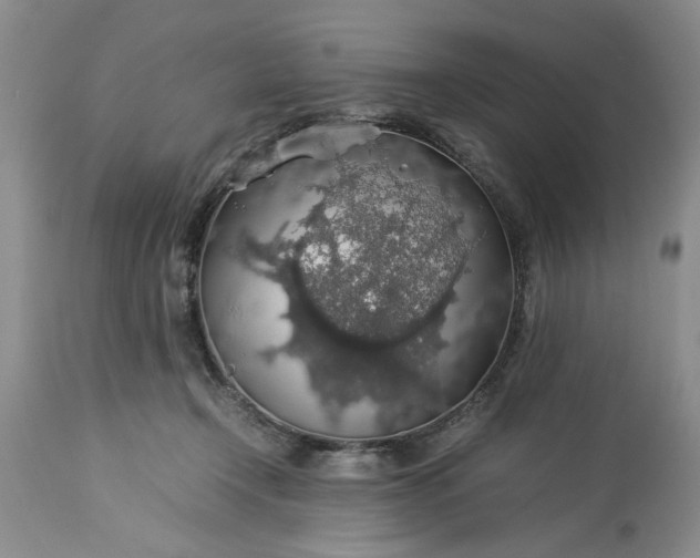 X0000113600366200910021746