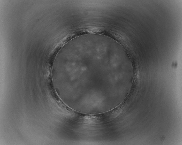 X0000113600367200910021746