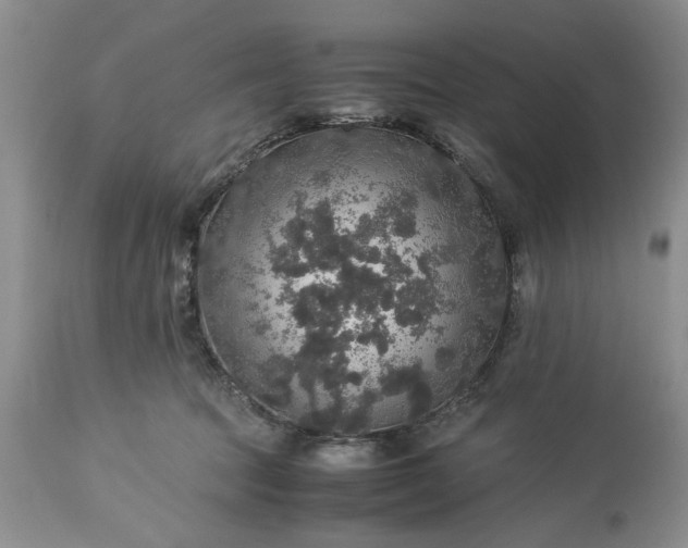 X0000113600369200910021746