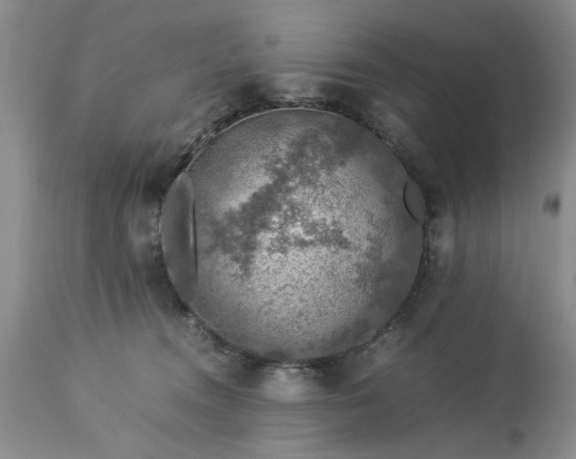 X0000113600372200910021746