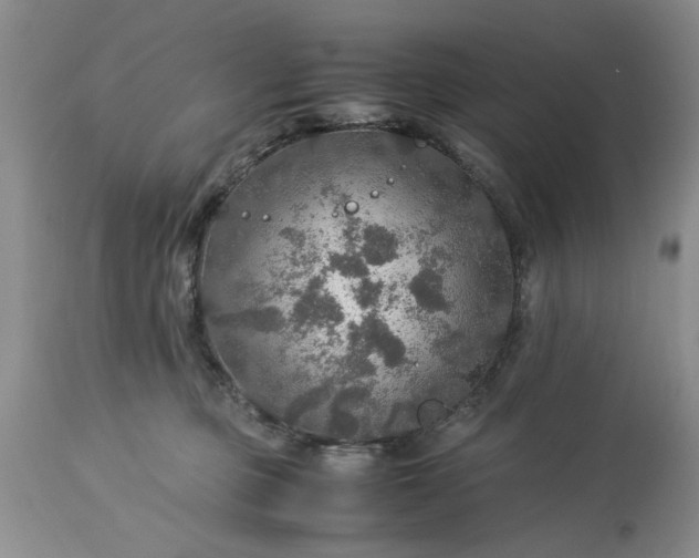 X0000113600373200910021746