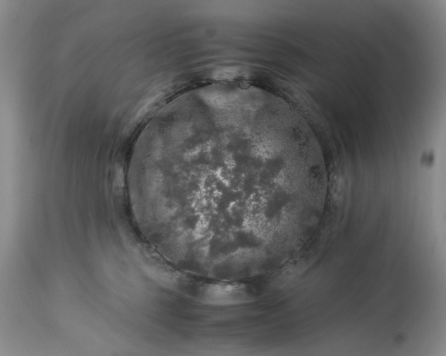 X0000113600375200910021746