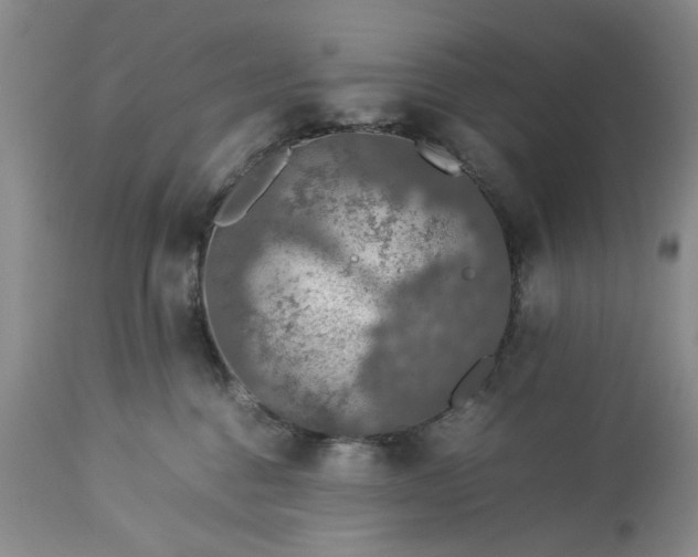 X0000113600376200910021746