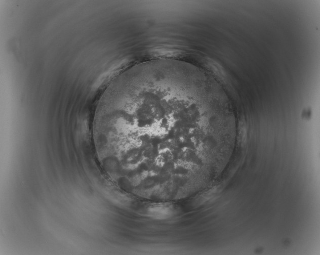 X0000113600377200910021746