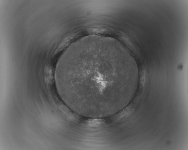 X0000113600378200910021746