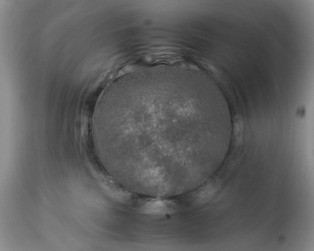 X0000113600379200910021746