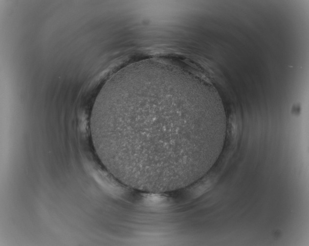 X0000113600380200910021746