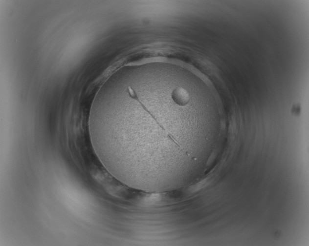 X0000113600382200910021746