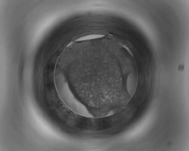 X0000113600383200910021746