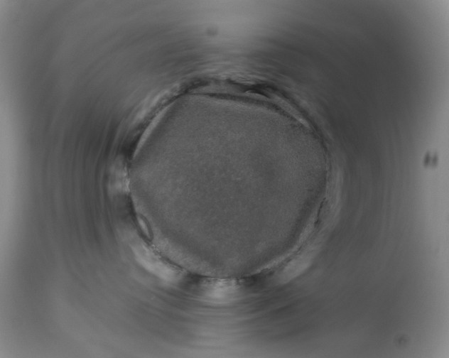 X0000113600384200910021746