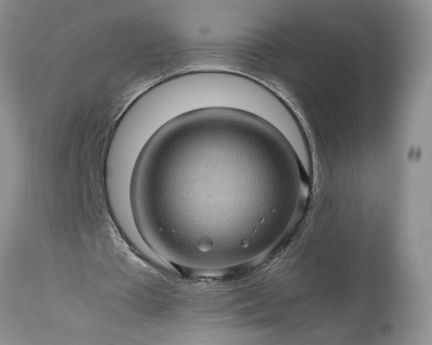 X0000113600385200910021746