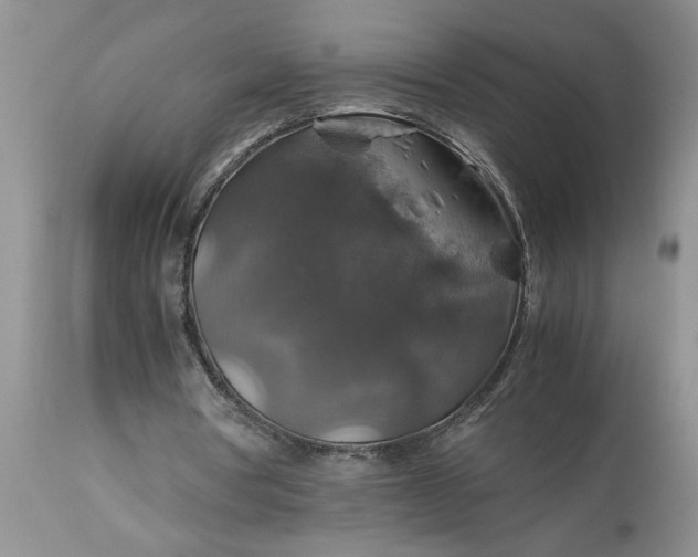 X0000113600386200910021746