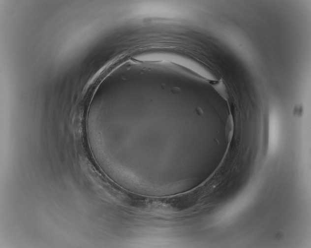 X0000113600387200910021746