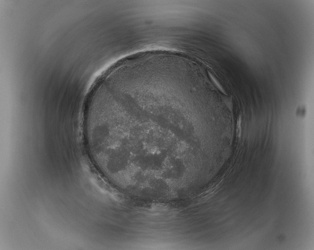 X0000113600388200910021746