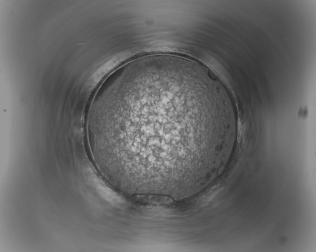 X0000113600389200910021746