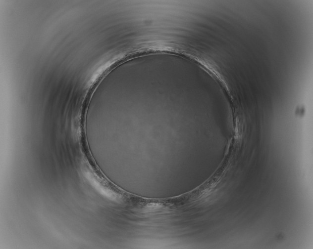 X0000113600390200910021746