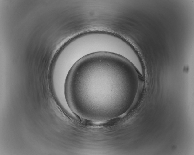 X0000113600391200910021746